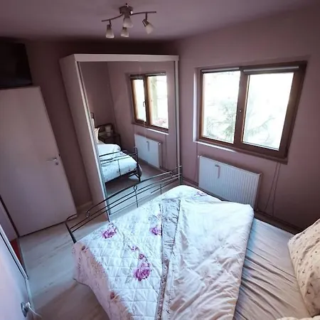 Rouge By G /centrul De Afaceri&stadion Timişoara