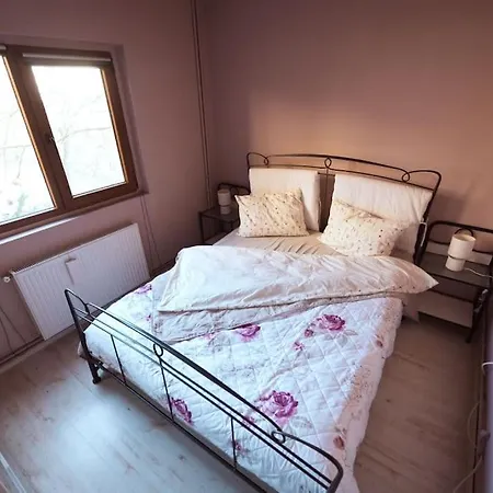 アパート Rouge By G /centrul De Afaceri&stadion ティミショアラ