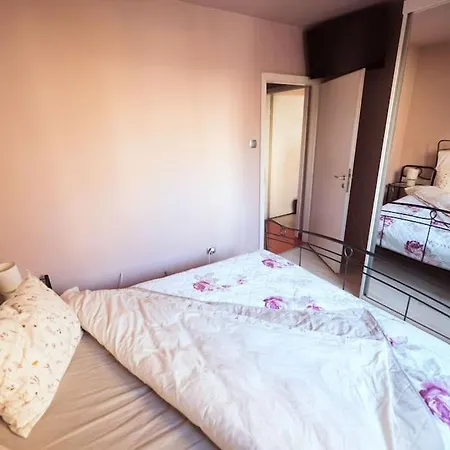 アパート Rouge By G /centrul De Afaceri&stadion ティミショアラ