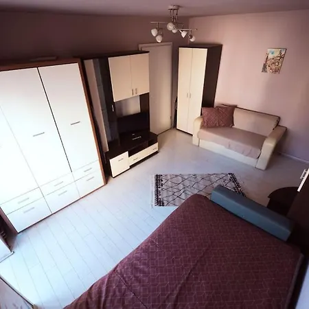 アパート Rouge By G /centrul De Afaceri&stadion ティミショアラ