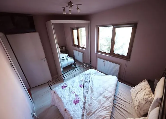 Rouge By G /centrul De Afaceri&stadion ティミショアラ