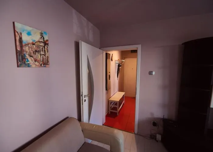 アパート Rouge By G /centrul De Afaceri&stadion ティミショアラ