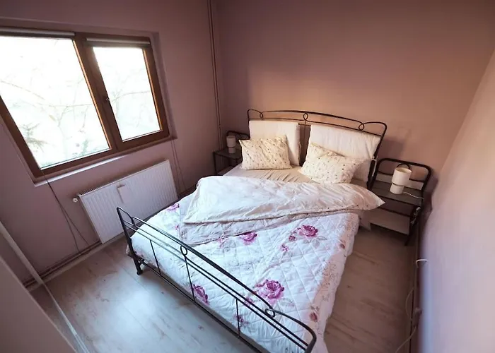 アパート Rouge By G /centrul De Afaceri&stadion ティミショアラ