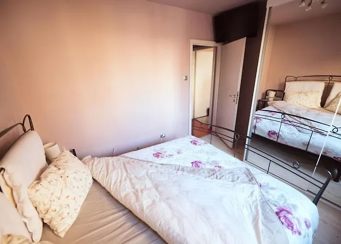 アパート Rouge By G /centrul De Afaceri&stadion ティミショアラ