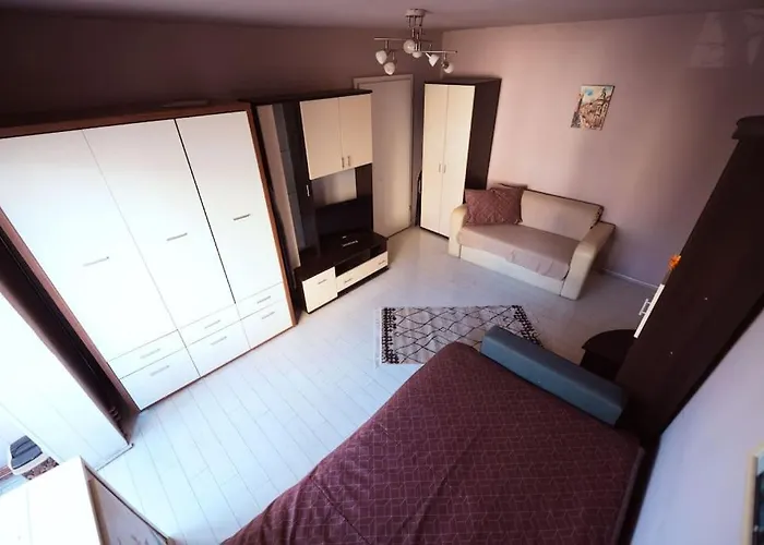 アパート Rouge By G /centrul De Afaceri&stadion ティミショアラ