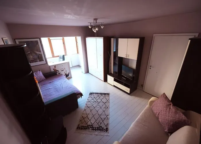 アパート Rouge By G /centrul De Afaceri&stadion ティミショアラ