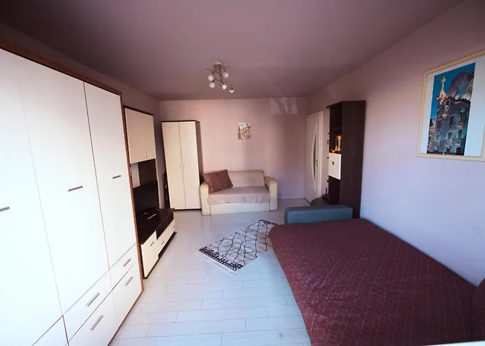 Rouge By G /centrul De Afaceri&stadion ティミショアラ